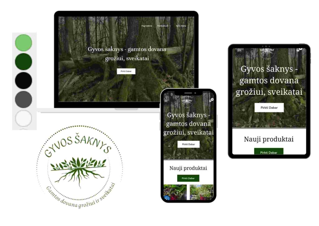 gyvos saknys porfolio